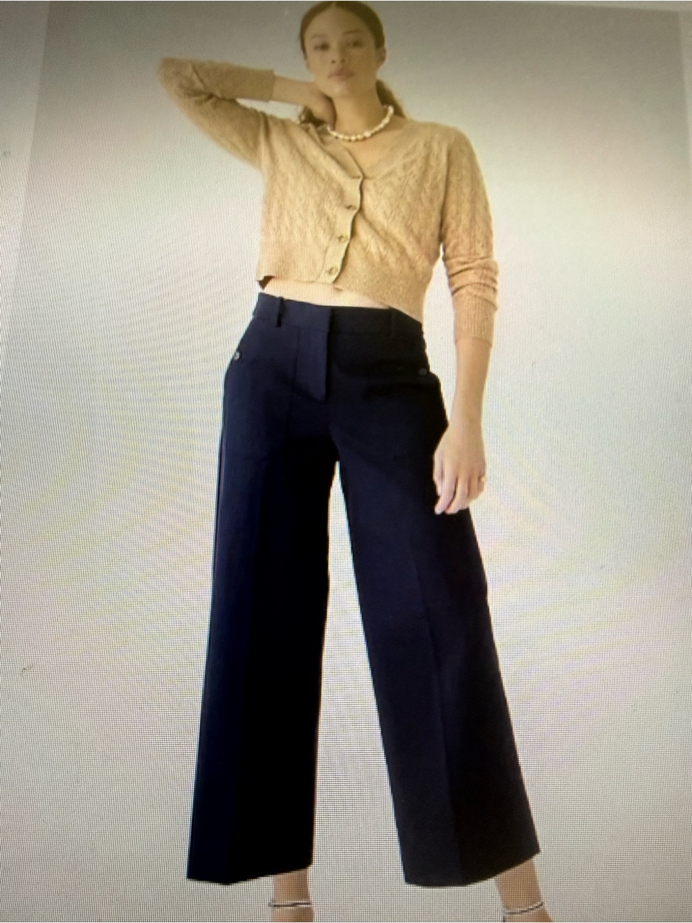 J. Crew Navy Wide-Leg Cropped Trousers